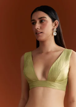 Light Green Tissue Zardosi Saree With Scallop Border