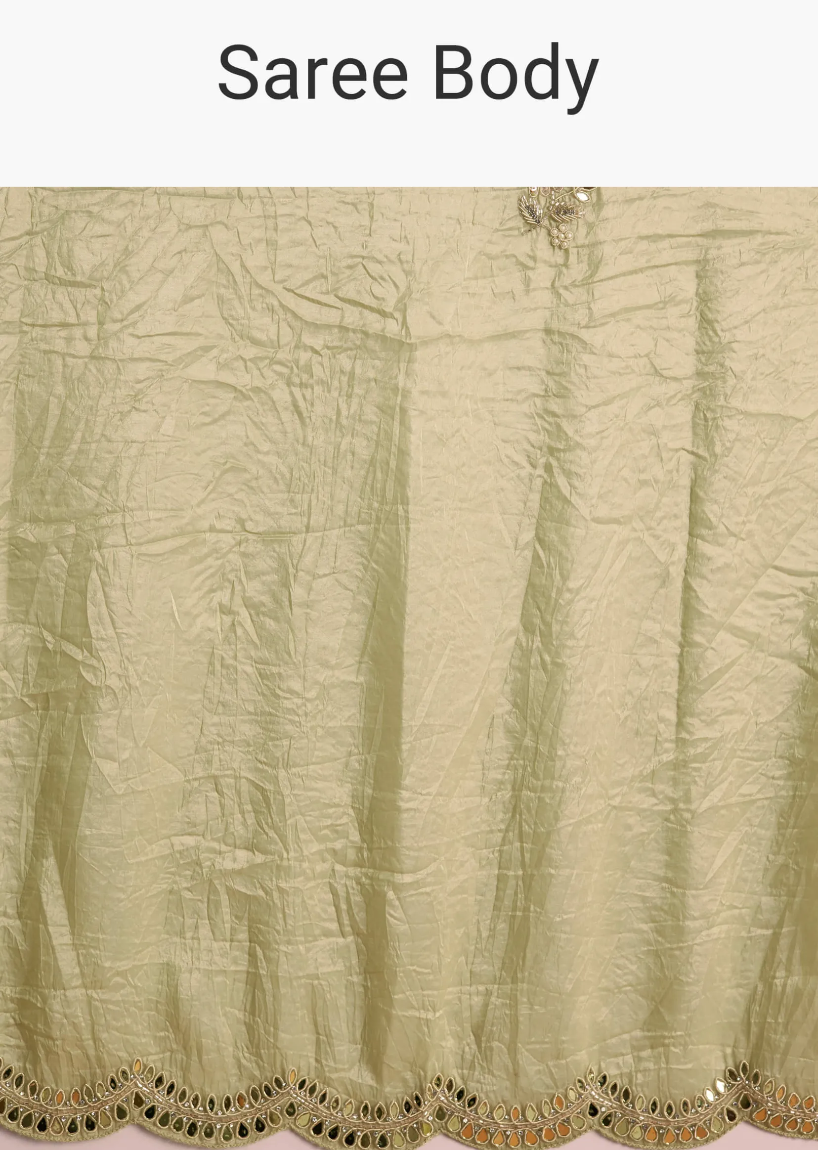 Light Green Tissue Zardosi Saree With Scallop Border