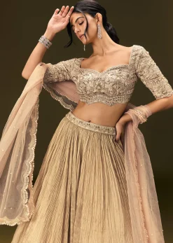 Light Peach Banarasi Silk Lehenga Dupatta With Embroidered Blouse
