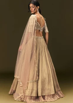 Light Peach Banarasi Silk Lehenga Dupatta With Embroidered Blouse