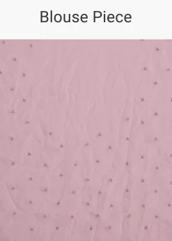 Light Pink Tissue Embroidered Saree With Cutwork Scallop Border