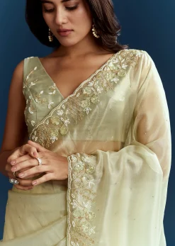 Light Pista Organza Saree With Floral Cutdana And Stone Embroidery