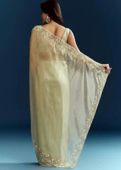 Light Pista Organza Saree With Floral Cutdana And Stone Embroidery