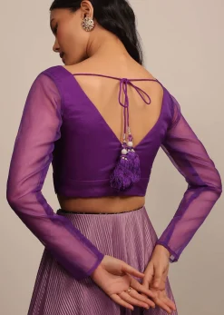 Light Purple Blouse In Organza With V Neckline