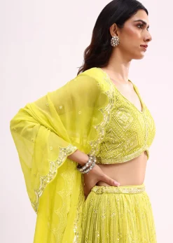 Lime Green Embroidered Net Lehenga Choli Set