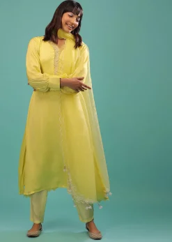 Lime Yellow Bemberg Silk A Line Suit In Organza