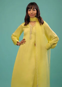 Lime Yellow Bemberg Silk A Line Suit In Organza