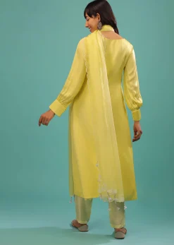 Lime Yellow Bemberg Silk A Line Suit In Organza