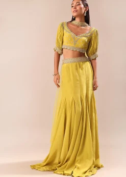 Lime Yellow Hand Embroidered Skirt And Blouse Set
