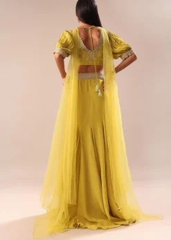 Lime Yellow Hand Embroidered Skirt And Blouse Set