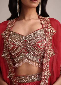 Maroon Embroidered Croptop And Pleated Skirt With Organza Jacket