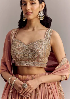 Mauve Tissue Lehenga Set With Embroidered Choli And Dupatta