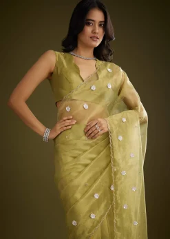 Mehandi Green Tissue Saree With Sequin Floral Embroidery