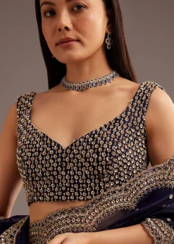Midnight Blue Organza Tissue Saree With Sequin And Cutdana Embroidery