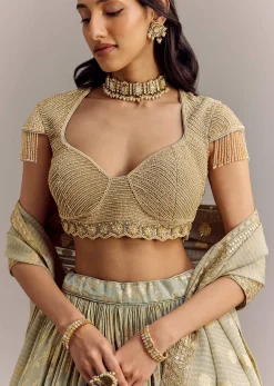 Mint Blue Embroidered Lehenga Set