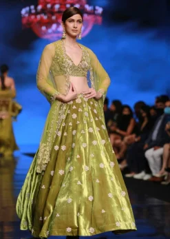 Moss Green Lehenga Choli With Multi Colored Hand Embroidered Floral Buttis