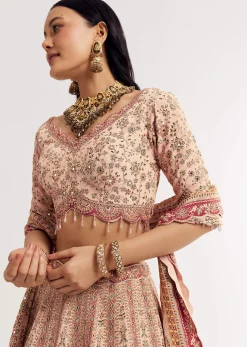 Multicolour Printed Stone Cutdana Embroidered Lehenga With Crepe Dupatta