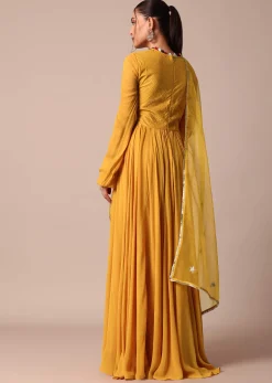 Mustard Yellow Velvet Embroidered Anarkali With Organza Dupatta