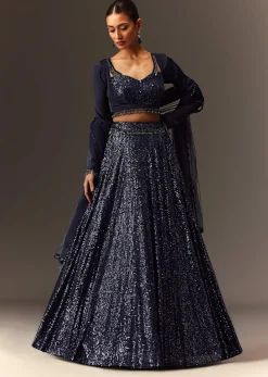 Navy Blue Tie Up Blouse And Embroidered Lehenga With Detailed Border Dupatta