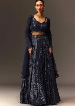 Navy Blue Tie Up Blouse And Embroidered Lehenga With Detailed Border Dupatta