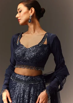 Navy Blue Tie Up Blouse And Embroidered Lehenga With Detailed Border Dupatta