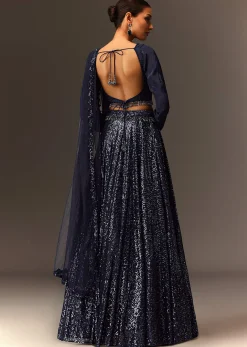 Navy Blue Tie Up Blouse And Embroidered Lehenga With Detailed Border Dupatta