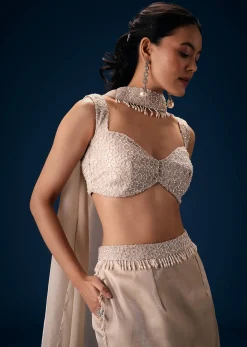Off White Blouse With Fishcut Lehenga And Choker Dupatta