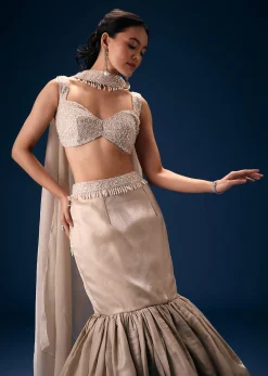 Off White Blouse With Fishcut Lehenga And Choker Dupatta