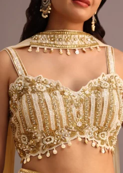 Off White Embroidered Croptop With Banarasi Weave Palazzo And Choker Dupatta
