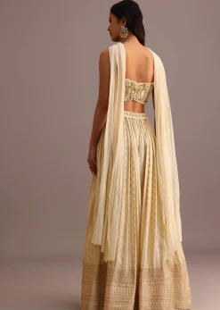 Off White Embroidered Croptop With Banarasi Weave Palazzo And Choker Dupatta