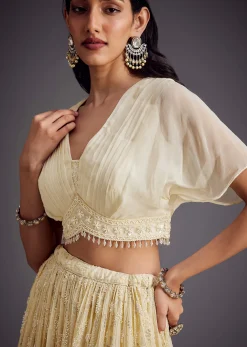 Off White Embroidered Pleated Skirt With Sheer Layered Croptop