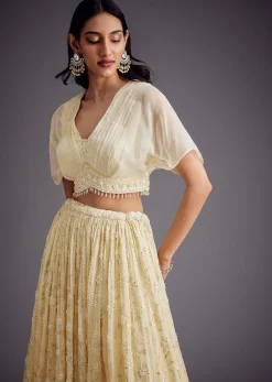 Off White Embroidered Pleated Skirt With Sheer Layered Croptop
