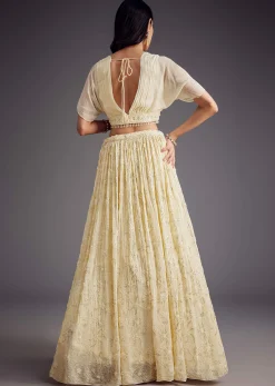 Off White Embroidered Pleated Skirt With Sheer Layered Croptop