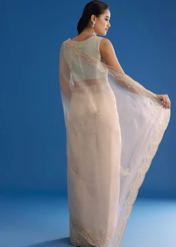 Off White Glass Tissue Saree With Embroidered Scallop Border