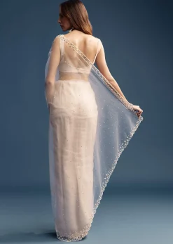 Off White Net Saree With Sequins Embroidery