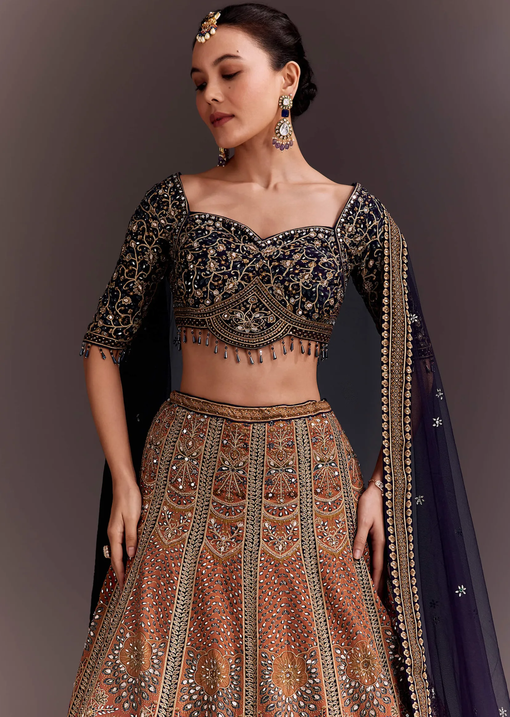 Ombre Zari Embroidered Lehenga Set