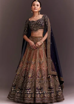 Ombre Zari Embroidered Lehenga Set
