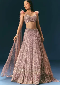 Onion Organza Lehenga And Blouse Set With Choker Dupatta