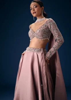 Onion Pink Embroidered Blouse With Lehenga And Choker Dupatta