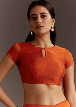 Orange Glass Tissue Saree With Cutdana And Sequins Scallop Border