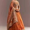 Orange Tissue Butti Embroidered Lehenga Choli And Woven Dupatta
