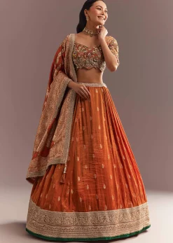 Orange Tissue Butti Embroidered Lehenga Choli And Woven Dupatta