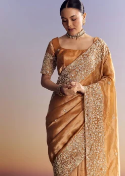 Orange Tissue Saree With Unstitched Heavy Embroidered Border