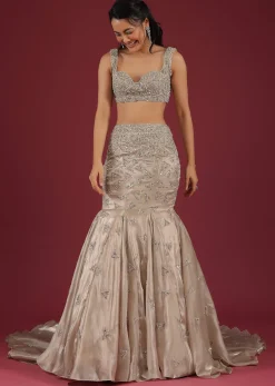 Organza Oyster Mermaid Lehenga With A Stone Motif Veil And Crop Top