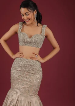 Organza Oyster Mermaid Lehenga With A Stone Motif Veil And Crop Top