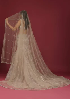Organza Oyster Mermaid Lehenga With A Stone Motif Veil And Crop Top