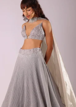 Oyster Grey Embroidered Lehenga Set In Knit With Choker Dupatta