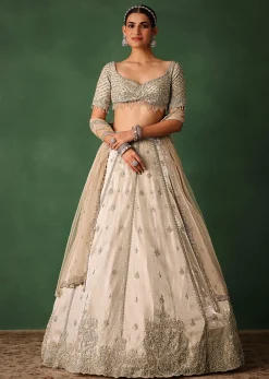 Oyster Hand Embroidered Organza Lehenga Set With Cutdana Work