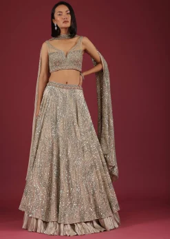 Oyster Net Lehenga And Crop Top With 3D Petal Motifs And An Open Back