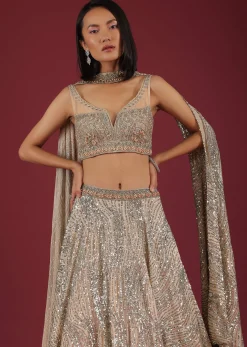 Oyster Net Lehenga And Crop Top With 3D Petal Motifs And An Open Back